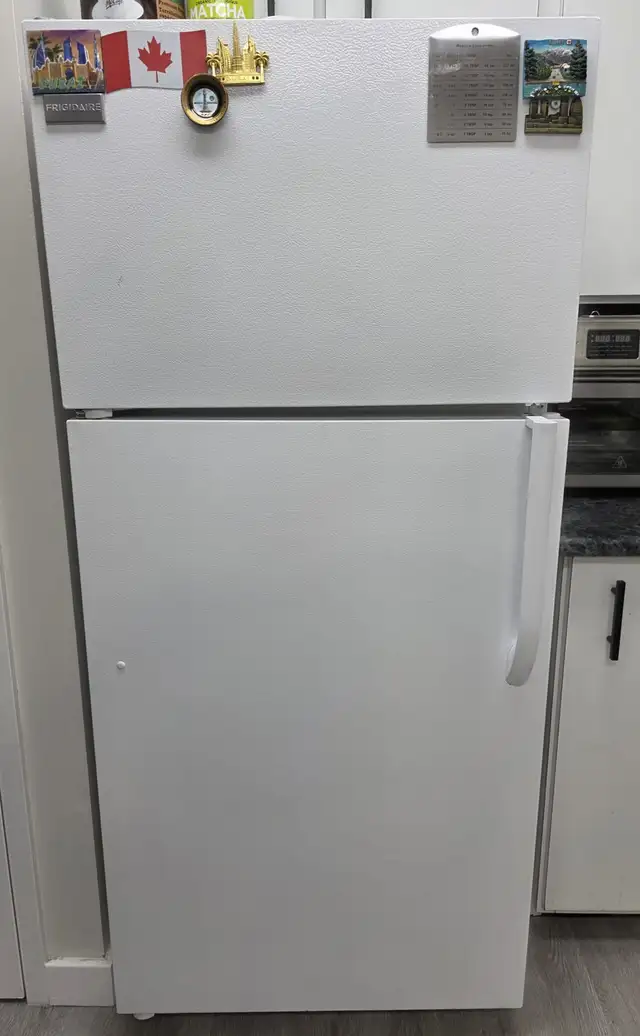 Frigidaire Fridge + Freezer62863281554819122