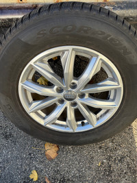 *NEUF* 235/65R17 Pirelli pneus d’hiver sur mags Audi original 
