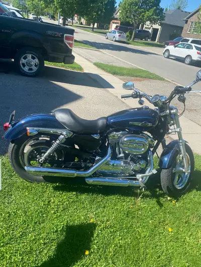 Legendary Harley Davidson. 1200 sportster custom. Chrome rims plus more.50 mpg fuel injection. Plus....
