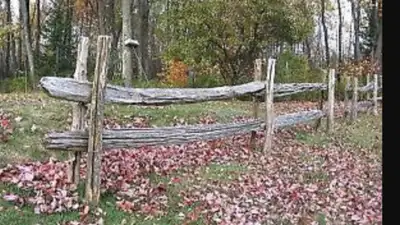 Ancienne perche de cèdre (clôtures), View more