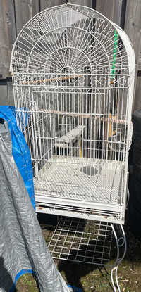 Large Bird Cage (Yes it’s available) 