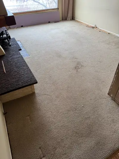 Free Carpet, View more