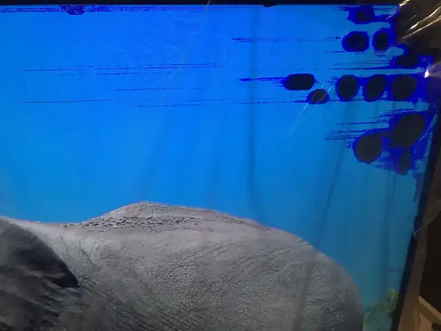 Android Sony 75-inch 4K UHD HDR LED Smart TV (XBR75X950H) in TVs in Mississauga / Peel Region - Image 4