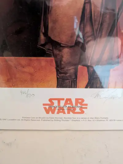 Star Wars art print poster Leia as Boushh, View more