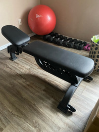 Workout bench