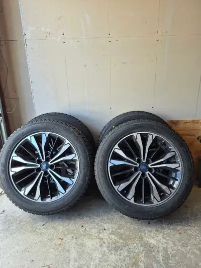 These 225/55R19 Antares winter tires are mounted on stylish Ford alloy rims, providing excellent gri...