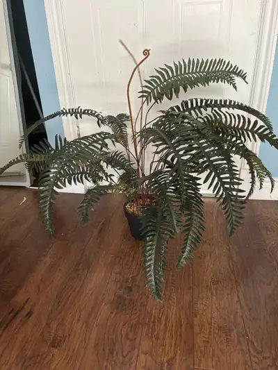 Fern style artificial plant, View more