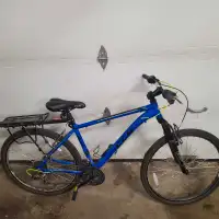 Mountain bike ($270)