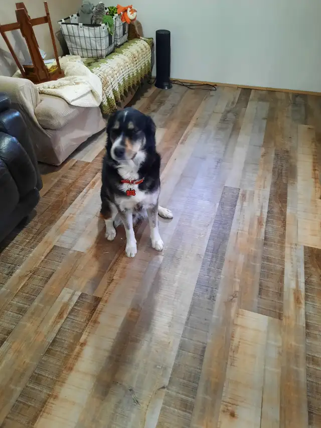 Flooring installer with 30 years of experience