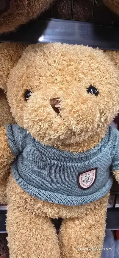 BNIB Limited Edition Plush Teddy Bear, View more