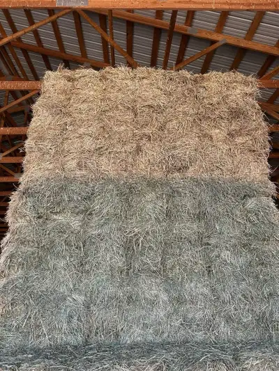 2024/2025 round hay bales for sale.Many different mixes and straight alfalfa and straight Timothy .S...