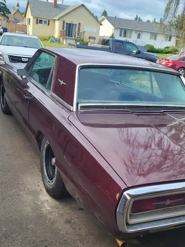 Rare find 