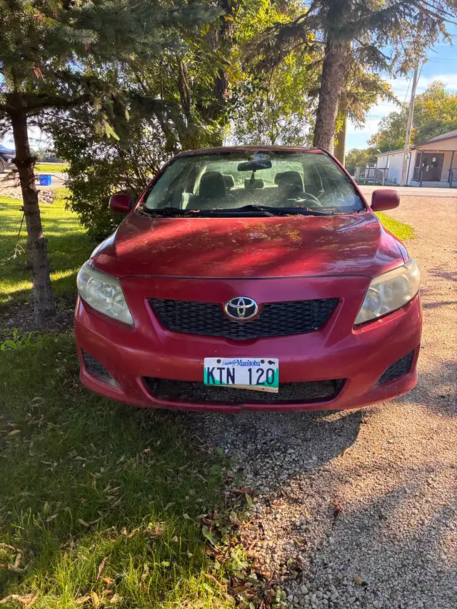 2010 Corolla 