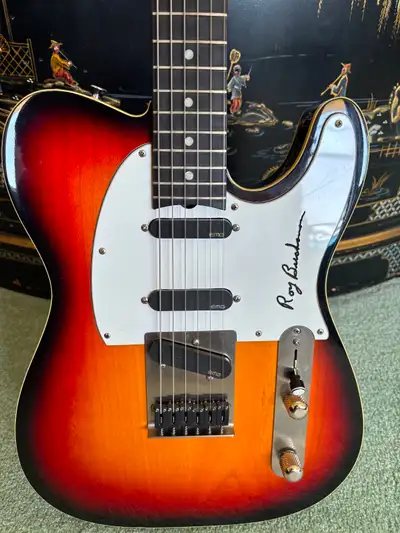 Roy Buchanan Custom Telecaster, View more