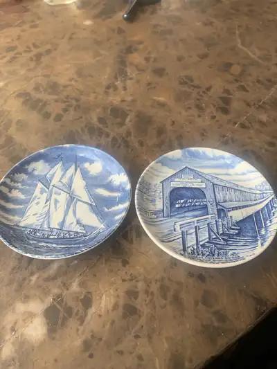 I'm offering two collectable plates, each with unique blue and white designs, one featuring the Blue...