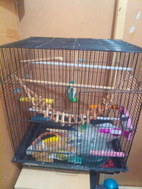 Large birdcage + accessories + toys