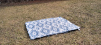 Pendleton picnic blanket/pillow