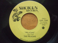 rare record by the pelicans-new wave