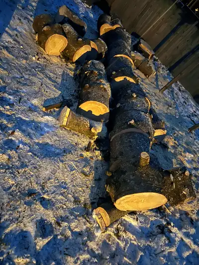 Just cut down the tree. Free firewood for whoever wants to pick it up. Can back your truck or traile...