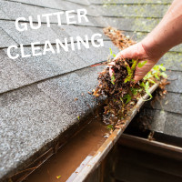 Gutter Cleaning/ Roof Wash
