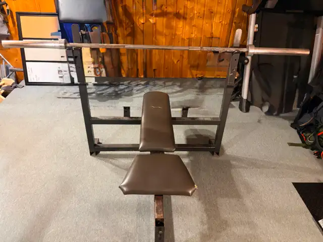 Free weights plus bench in Exercise Equipment in Ottawa - Image 3