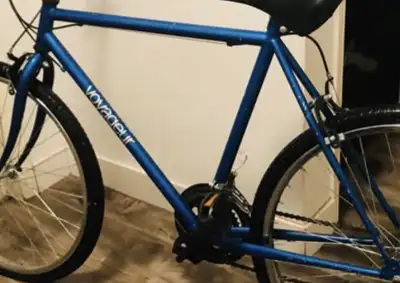 22” bike voyageur frame, View more