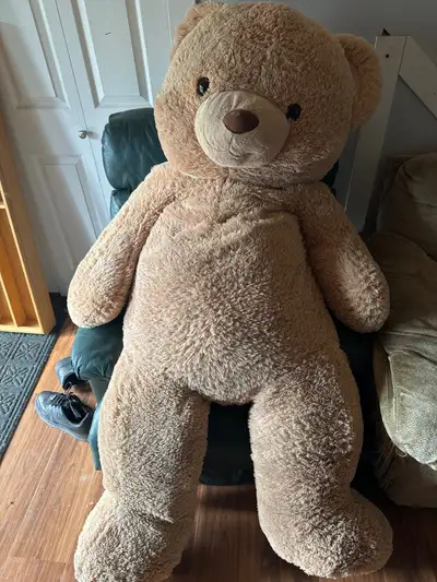 selling a giant teddy bear no holes or anything wrong with it just don’t have space for it in a room...