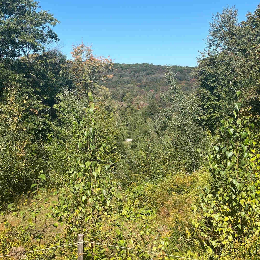 2 terrains résidentiels,fermettes ou chalet à vendre — photo 1