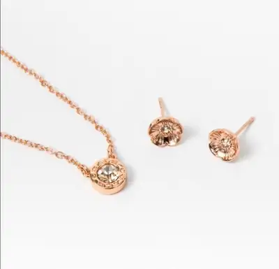 Brand new necklace and earrings set $40