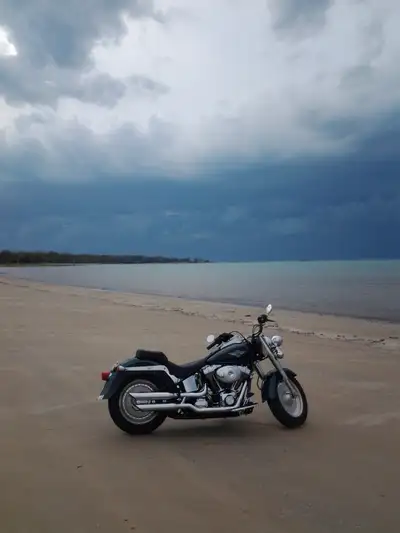I have a 2000 Fatboy that looks like it just came out of the showroom. Teal green suede and vivid bl...