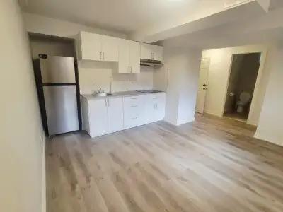 Newly renovated In Alliston 1 Bedroom basement apartment , Dec 1. Separate entrance, kitchenette, on...