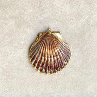 Shell Pendants (32 PCs)