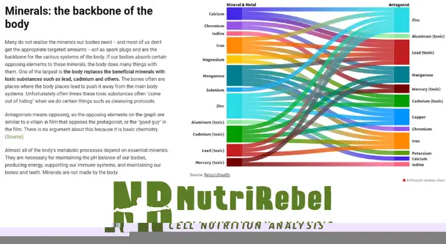Health problems? Free symptom assessment64219673334785121