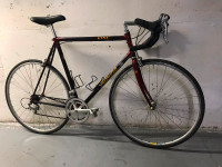 Specialized EPIC Road Bike purchased in 1996