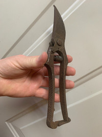 Antique / Vintage Shears, Poultry Shears, says 21-F on them