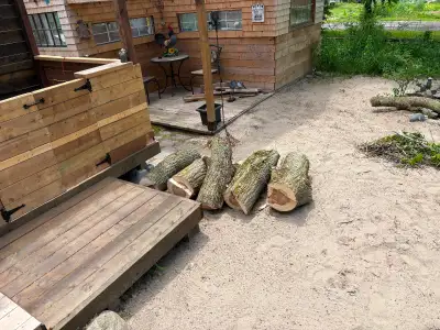 Free wood, View more