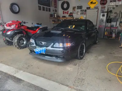 Selling my mustang, i just don't have time to enjoy it, was recently certified at canadian tire in m...