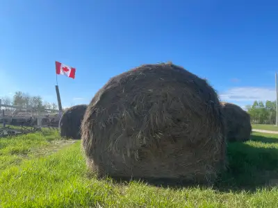 Size: 6” x 6” Abut: 1400lbs /each Good for cows,sheeps and horses Free for load Call or text : 20472...