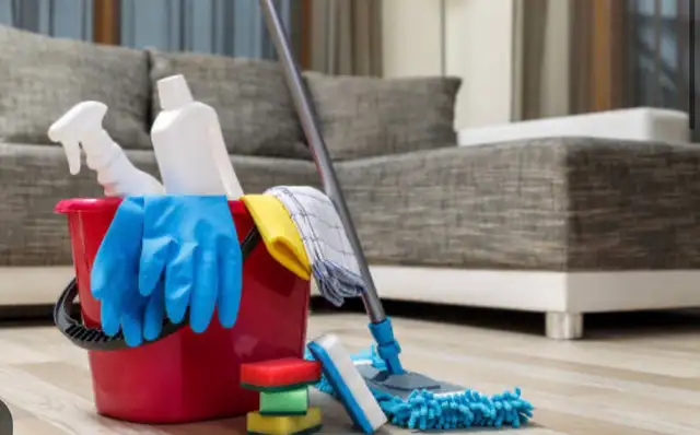 Professional Cleaning Services