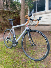 Devinci SGX 61 Chicane Road Bike