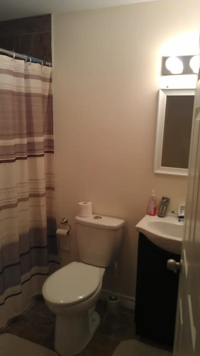 Elegant One bedroom basement apartment – Milton in Long Term Rentals in Oakville / Halton Region - Image 7