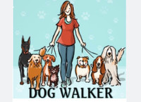 Dog Walker 