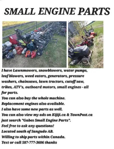 I have Lawnmowers, snowblower, water pumps, leaf blowers, weed eaters, generators, pressure washers,...