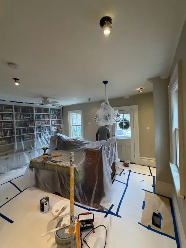 Professional painter & handyman contact us 365-777-8943