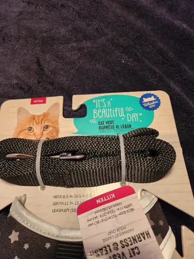 New Kitten Vest Harness and Leash, View more
