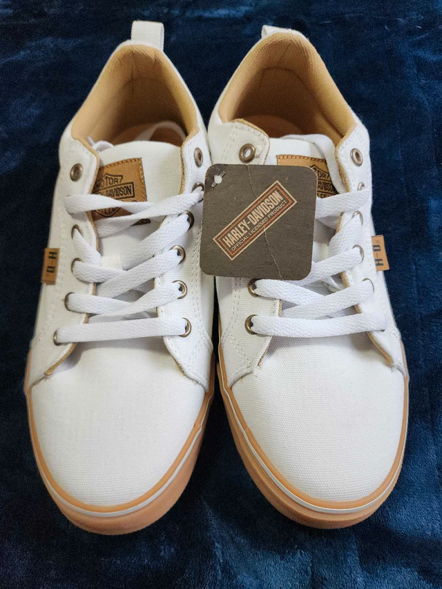 Harley Davidson canvas sneakers  in Women's - Shoes in Edmonton