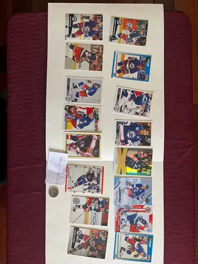 Winnipeg Jets Hockey Card Lot , View more