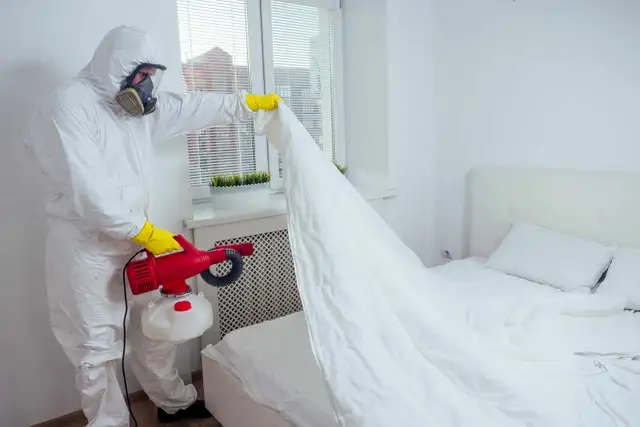 Pest Control support – Mice, Rats, Bed Bugs, Roaches64667464397699123