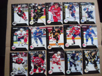 Pinnacle-Team 2000-Complete 30 Card Hockey Set.