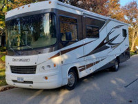 2010 Forest River 320 Georgetown Motorhome
